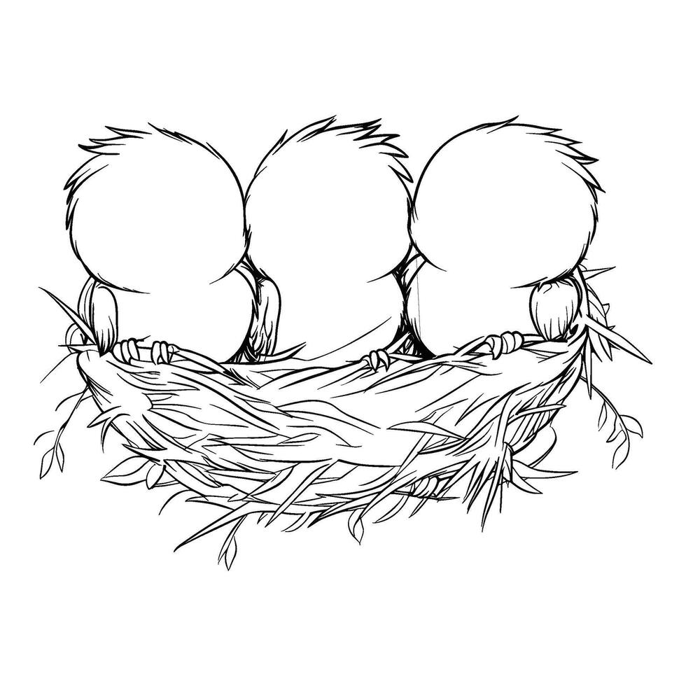 Sketch of Three Bird Eggs in a Nest vector