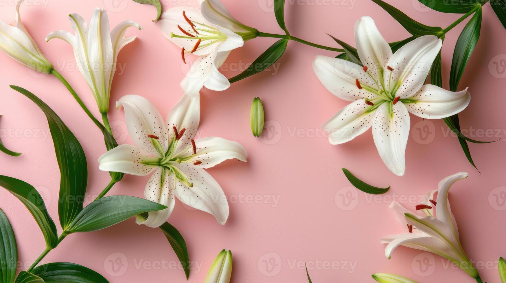 Elegant white lilies arranged on a soft pink background with leaves scattered around, perfect for floral designs photo