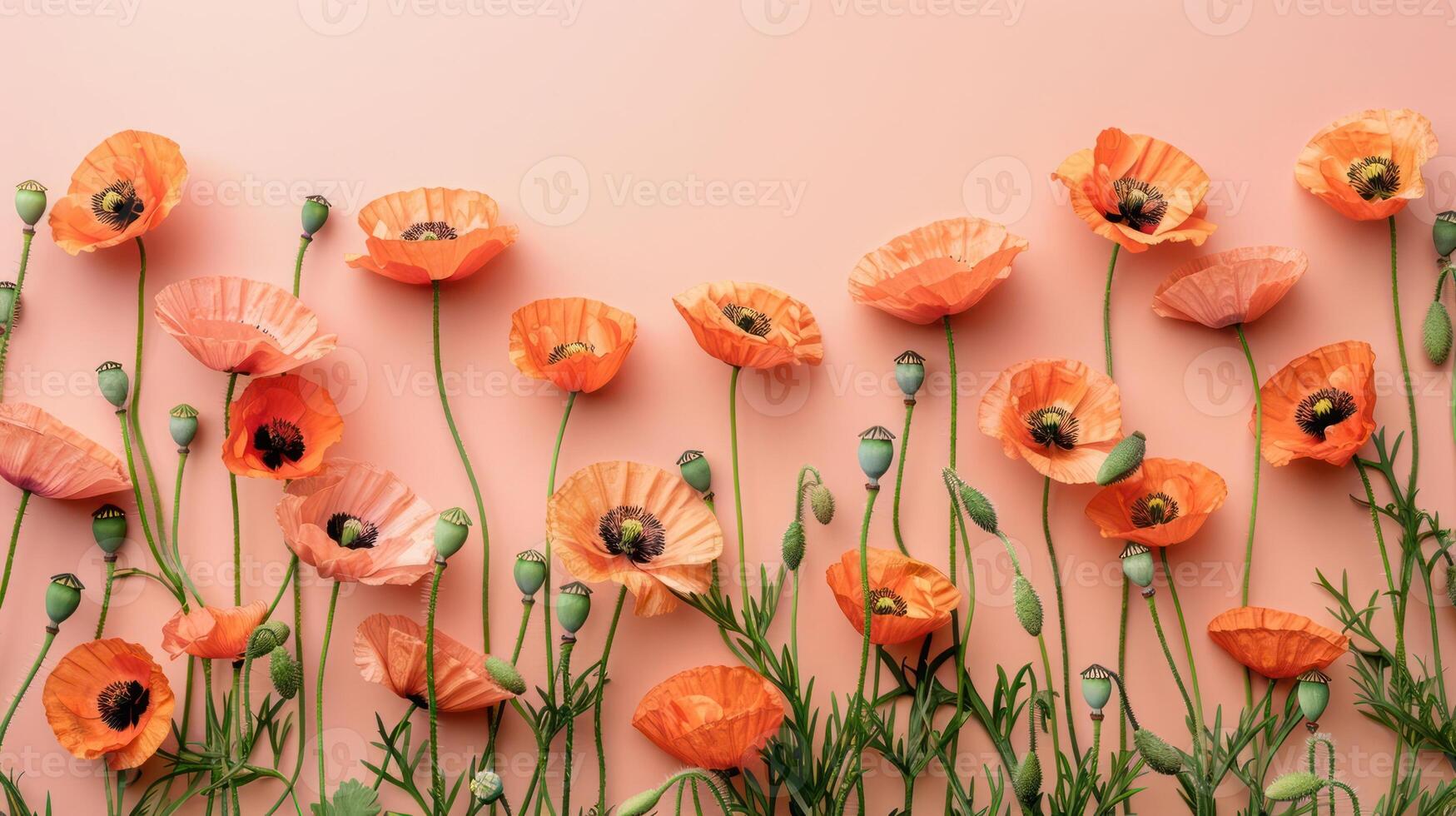 A vibrant arrangement of delicate orange poppies on a soft pink background, showcasing nature's beauty photo
