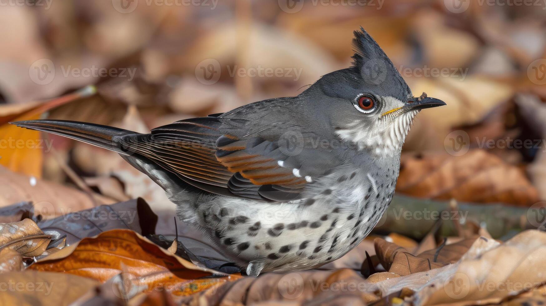 A close-up of a bird perched on colorful autumn leaves, showcasing its intricate feathers and vibrant colors photo