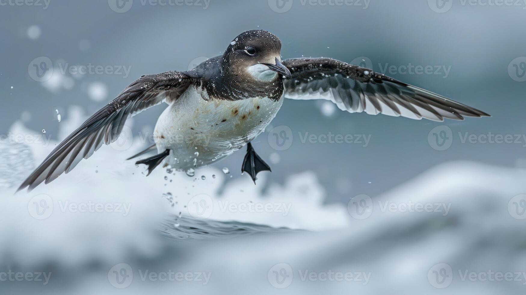 A bird gracefully skimming over ocean waves, showcasing its agility in a dynamic coastal scene photo