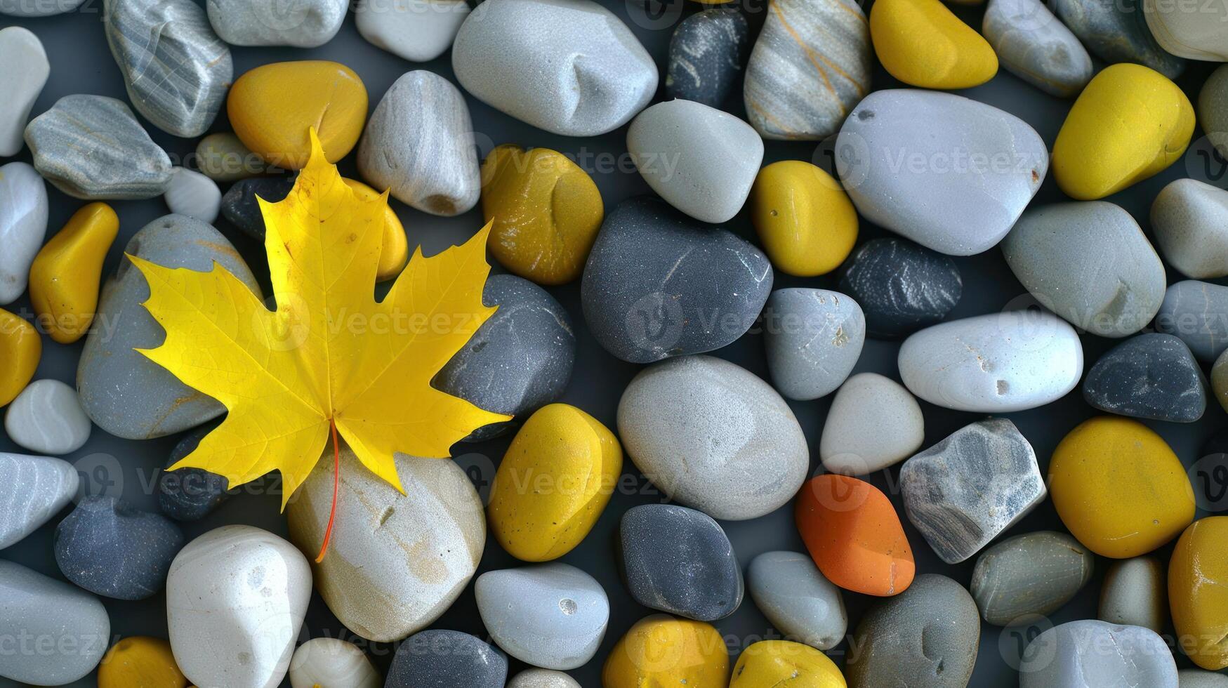 Vibrant yellow maple leaf resting atop a variety of smooth pebbles in a serene composition photo