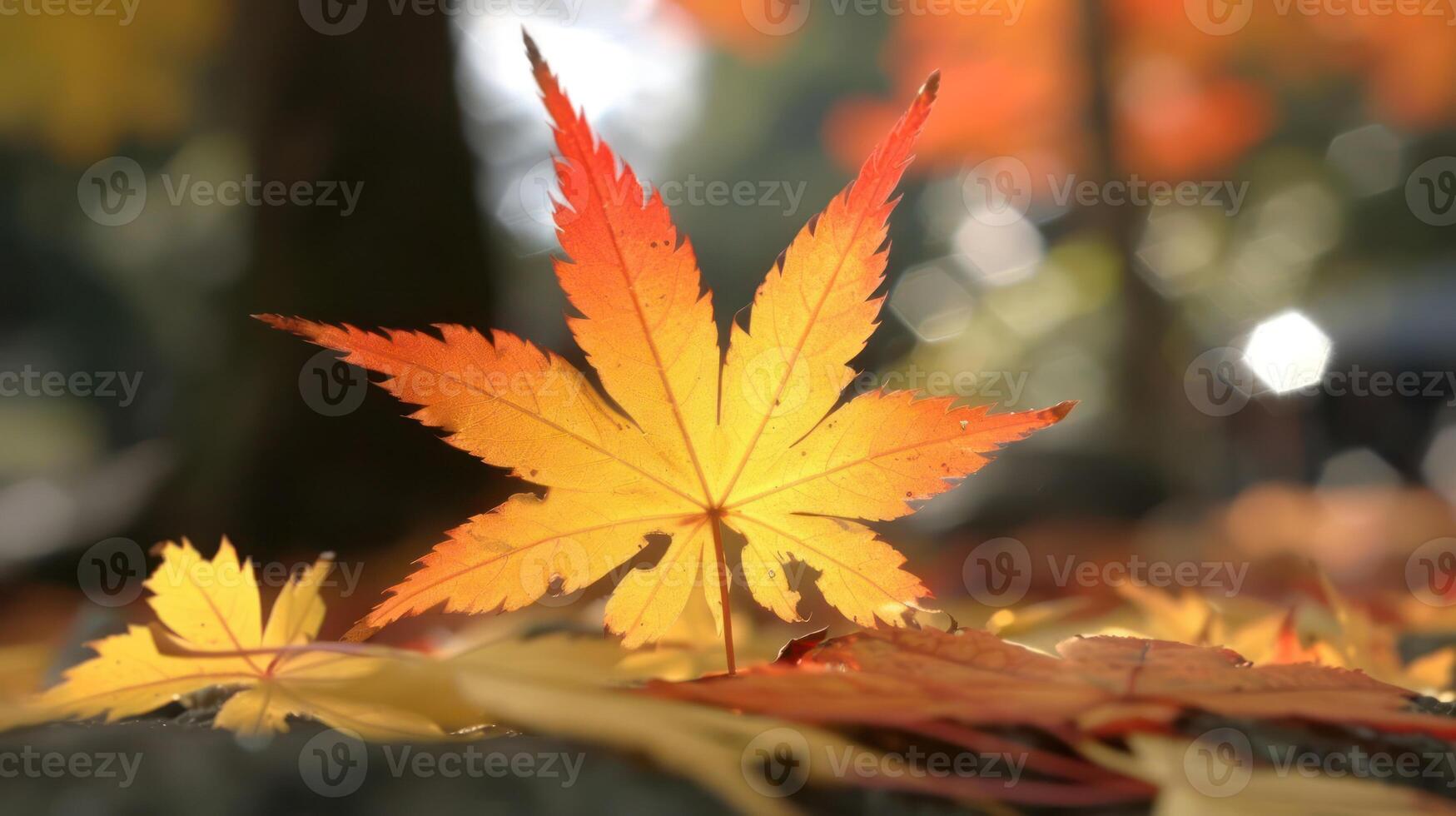 Vibrant autumn leaves scattered on the ground with a focus on a single yellow-orange leaf photo