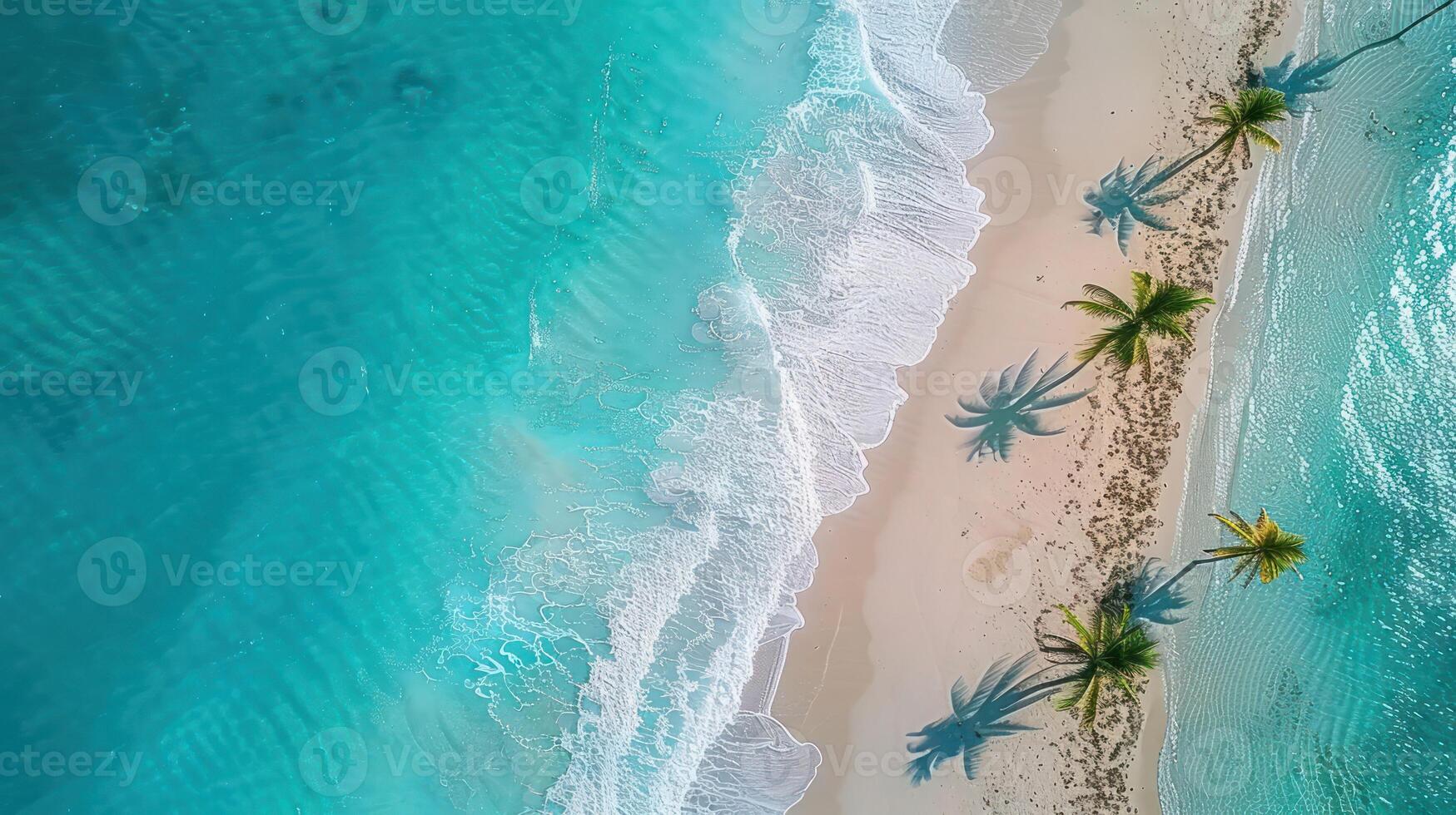 Aerial view of a serene tropical beach with clear turquoise waters and palm tree shadows photo