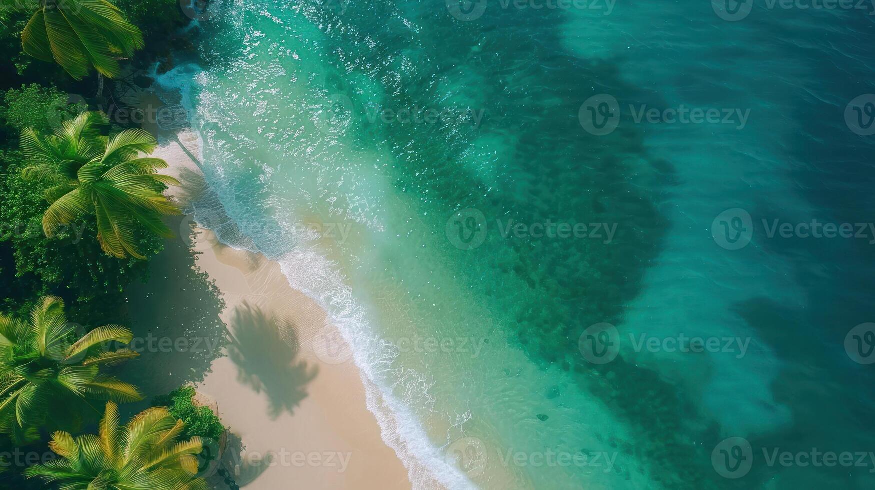 Aerial view of a serene beach with clear turquoise waters and lush palm trees lining the shore photo