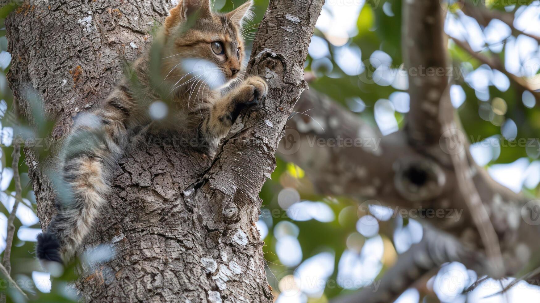 A playful cat climbing a tree, showcasing its agility amidst a blurred green background photo