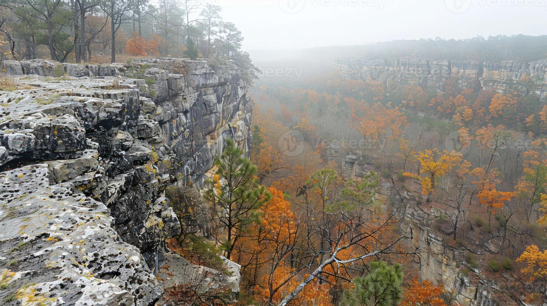 Misty autumn landscape showcasing colorful foliage along a rocky cliffside in a serene valley photo