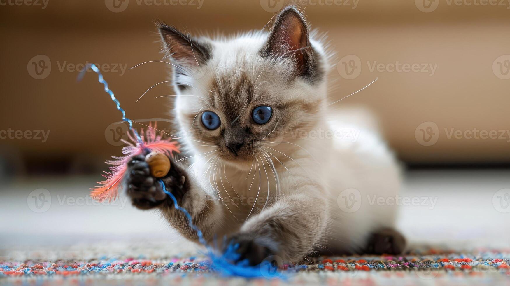 Playful kitten engaging with colorful toy on a cozy indoor rug, capturing a moment of joy photo