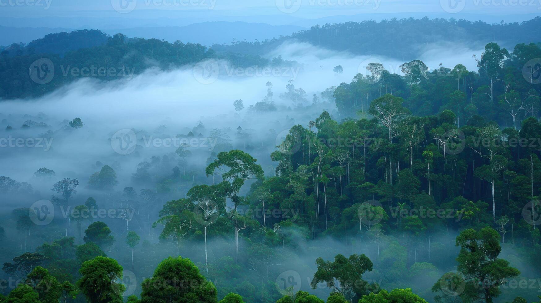 Lush green rainforest shrouded in morning mist, showcasing vibrant trees and distant hills photo