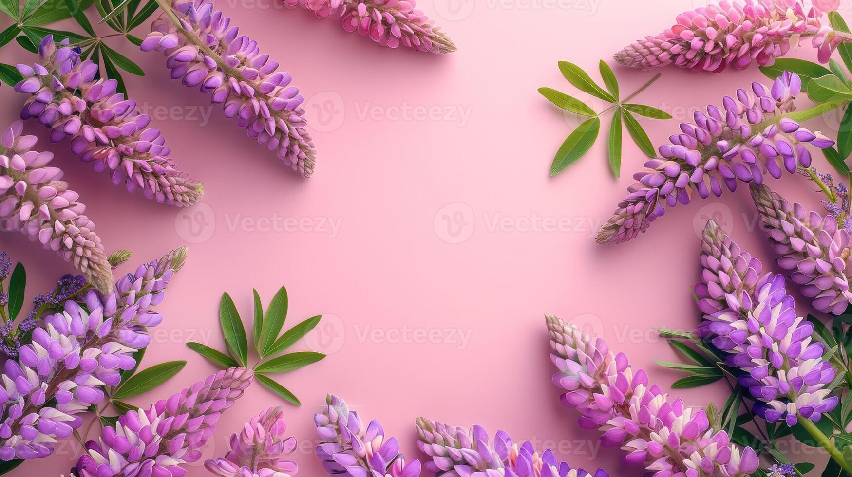 Vibrant arrangement of lupine flowers on a soft pink background, showcasing nature's beauty photo