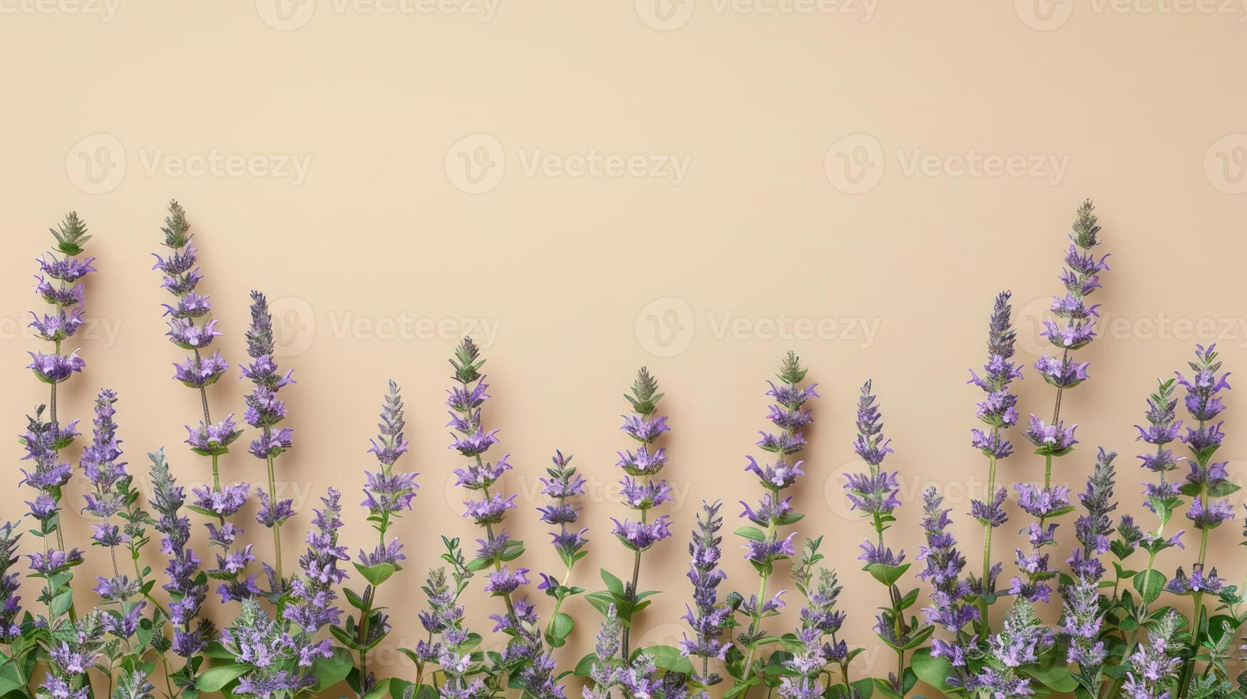 Beautiful lavender flowers arranged against a soft peach background, creating a serene atmosphere photo