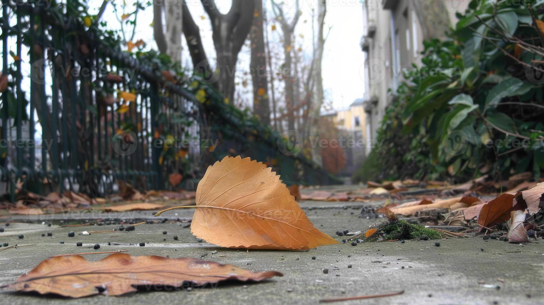 Close-up of fallen autumn leaves on a sidewalk in a quiet urban alley with greenery photo