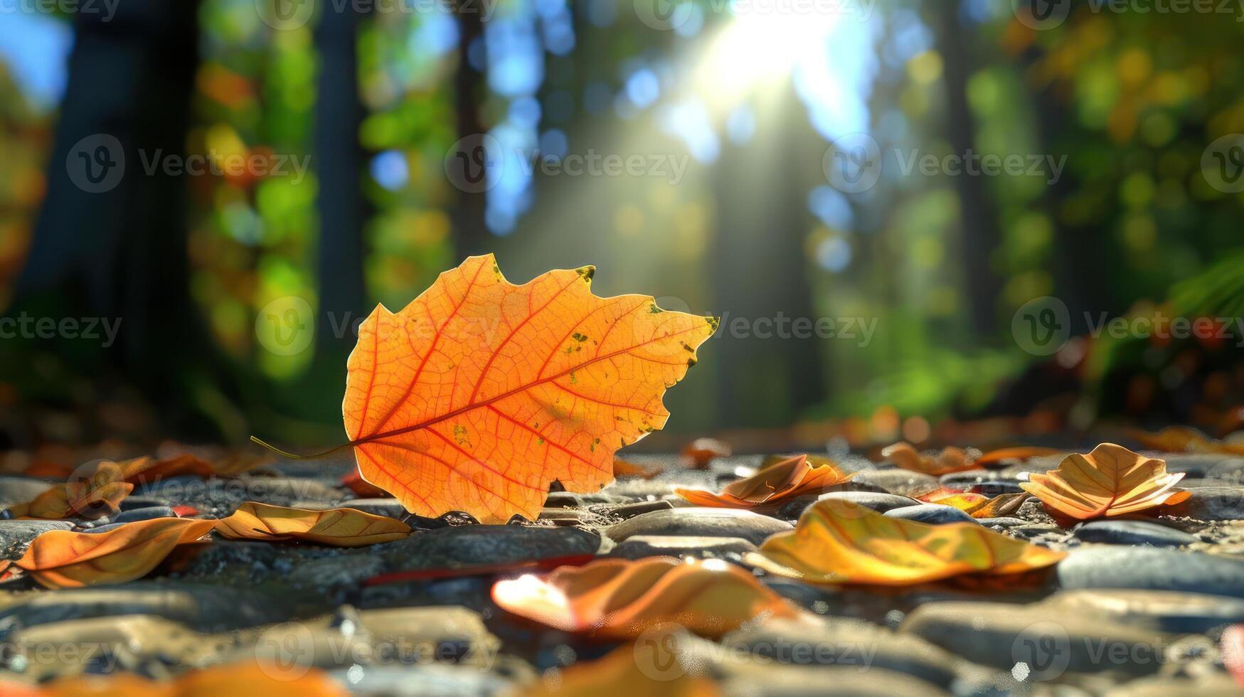 Autumn leaves scattered on a forest floor with sunlight streaming through trees photo