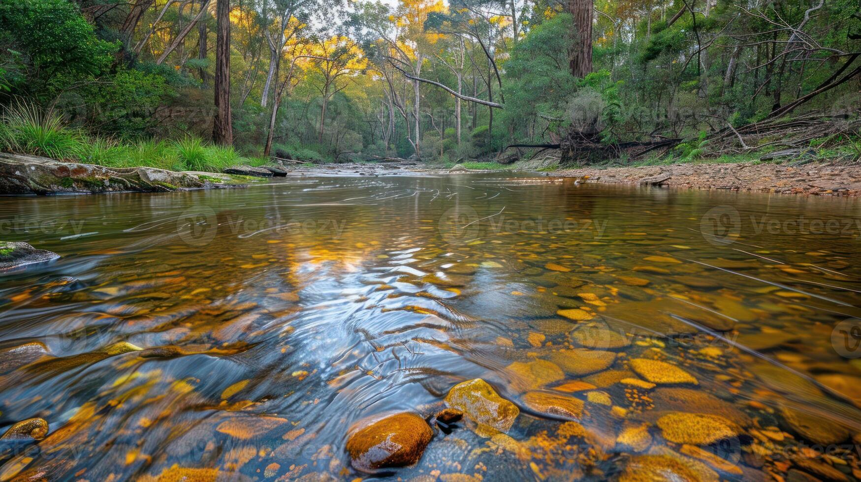 Serene river scene with clear water reflecting autumn foliage and pebbles in the foreground photo
