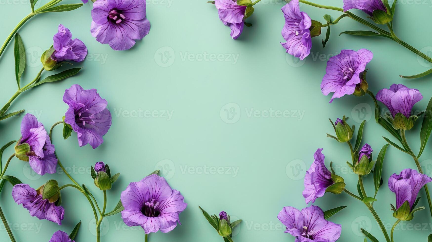 Vibrant purple flowers arranged elegantly on a mint green background, ideal for design use photo