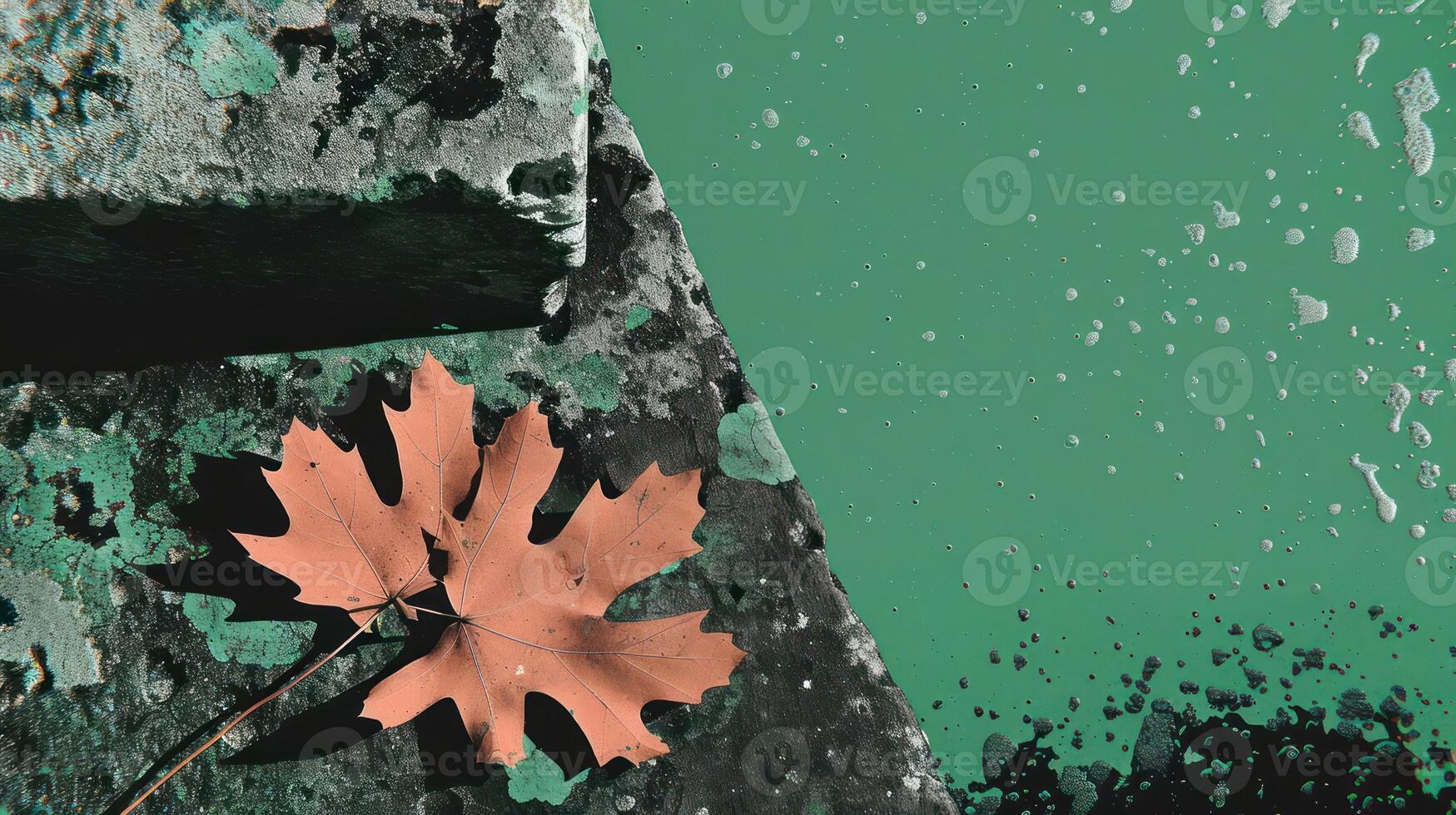 A fallen autumn leaf resting on a textured surface with green paint splashes in the background photo