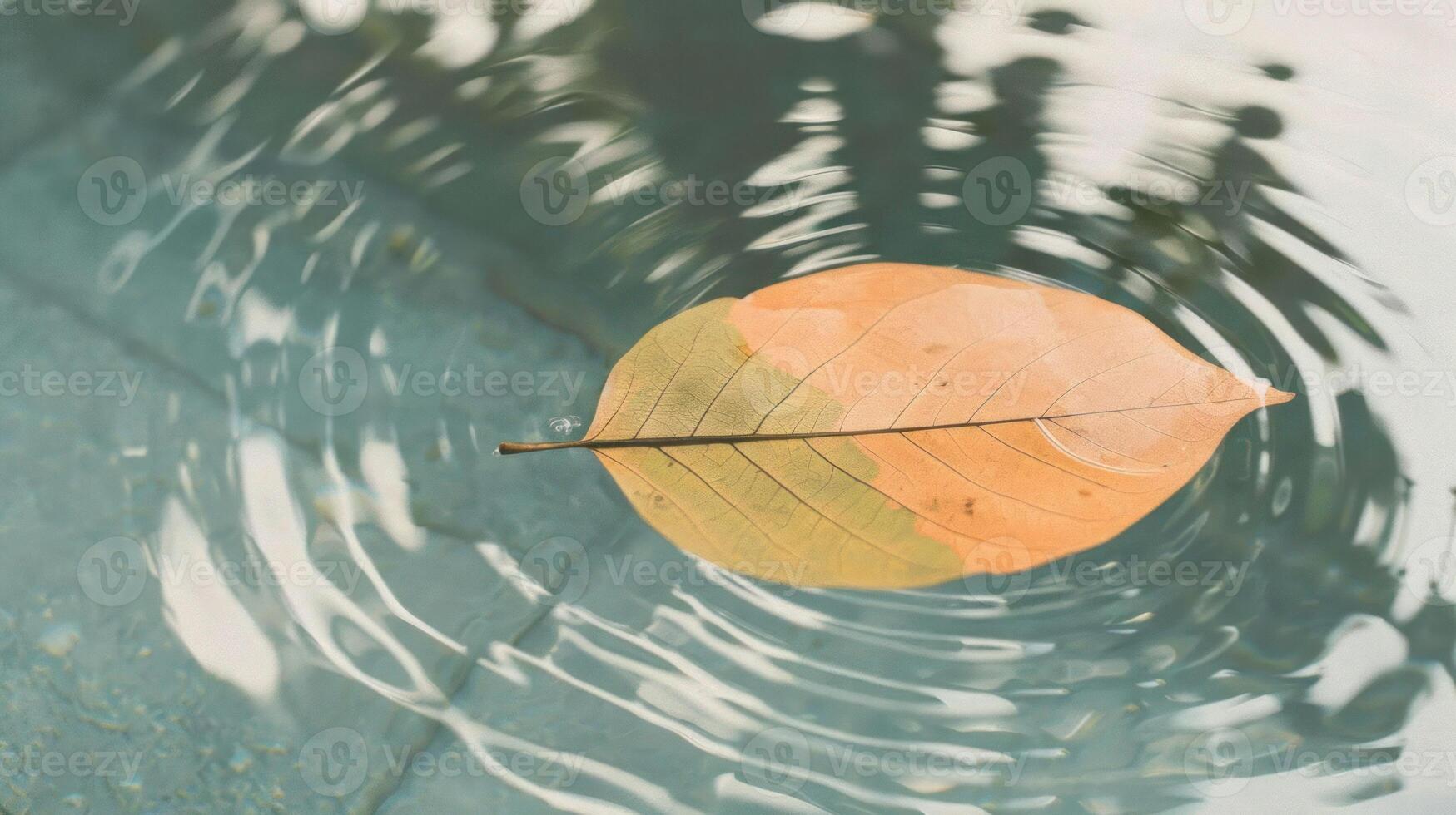 A single autumn leaf floating gently on the surface of a tranquil water body, ripples forming photo