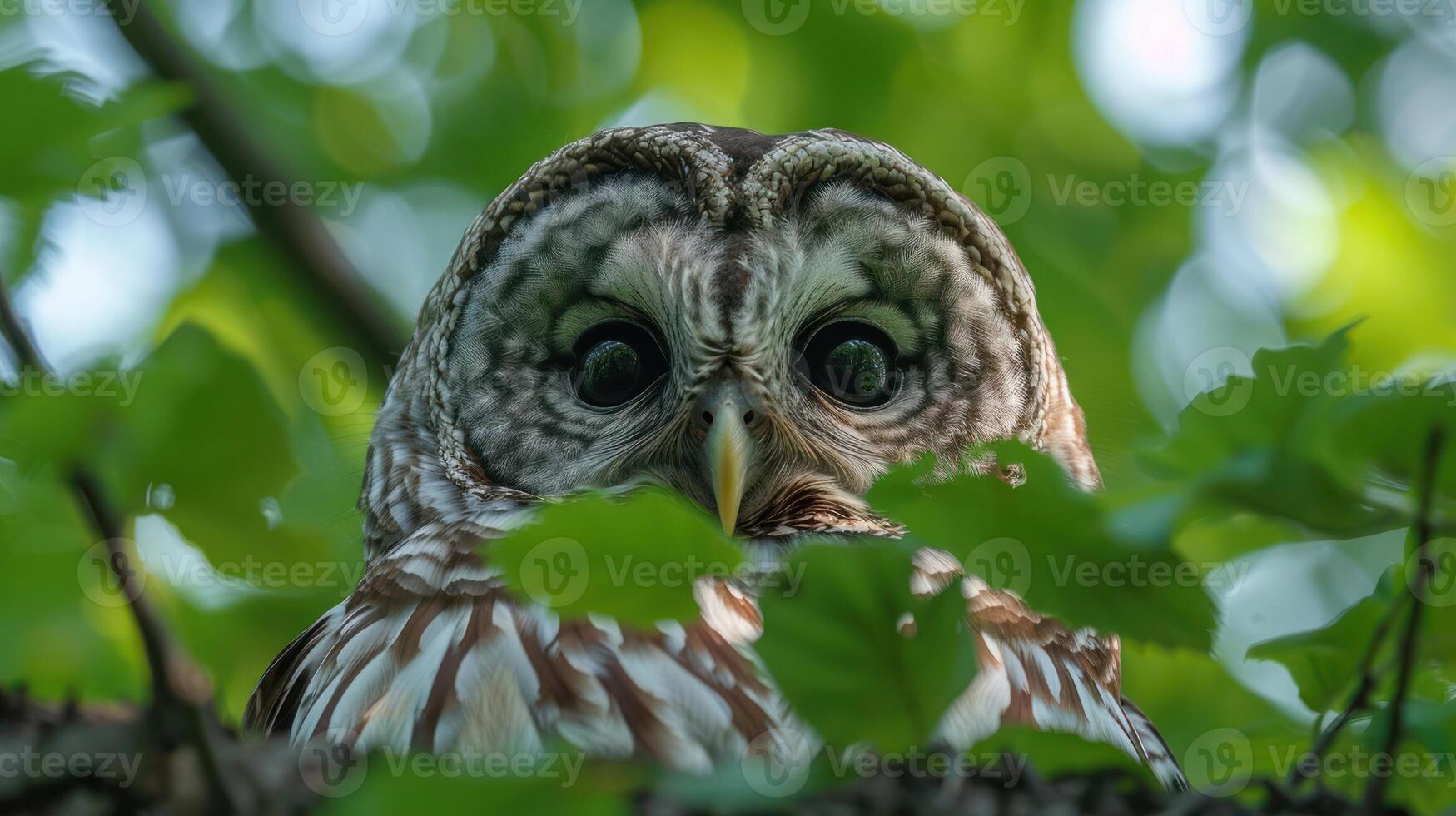 Close-up of a surprised owl peering through green leaves in a vibrant forest setting photo