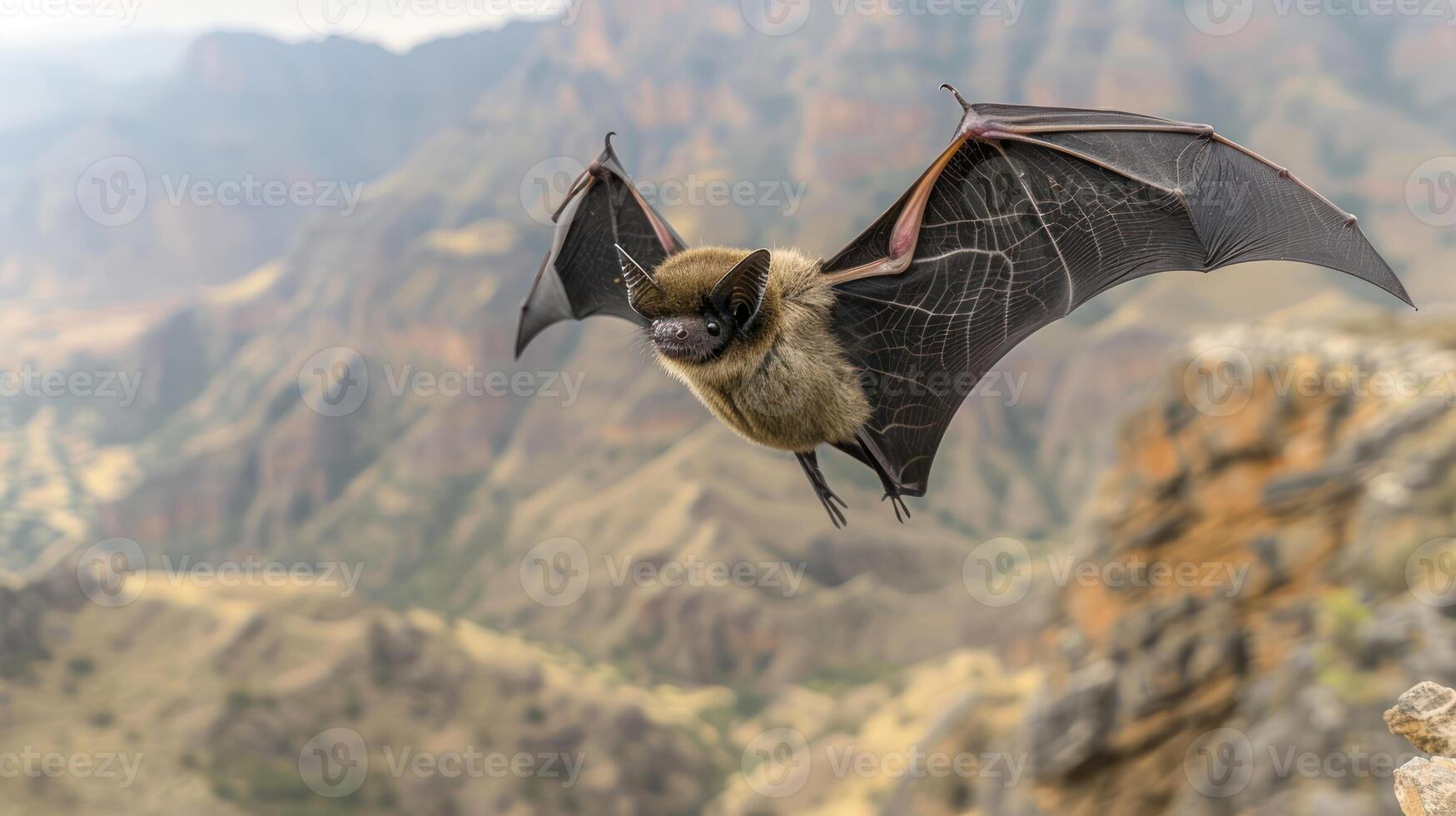 A bat soaring gracefully over a mountainous landscape, showcasing nature's beauty and wildlife photo