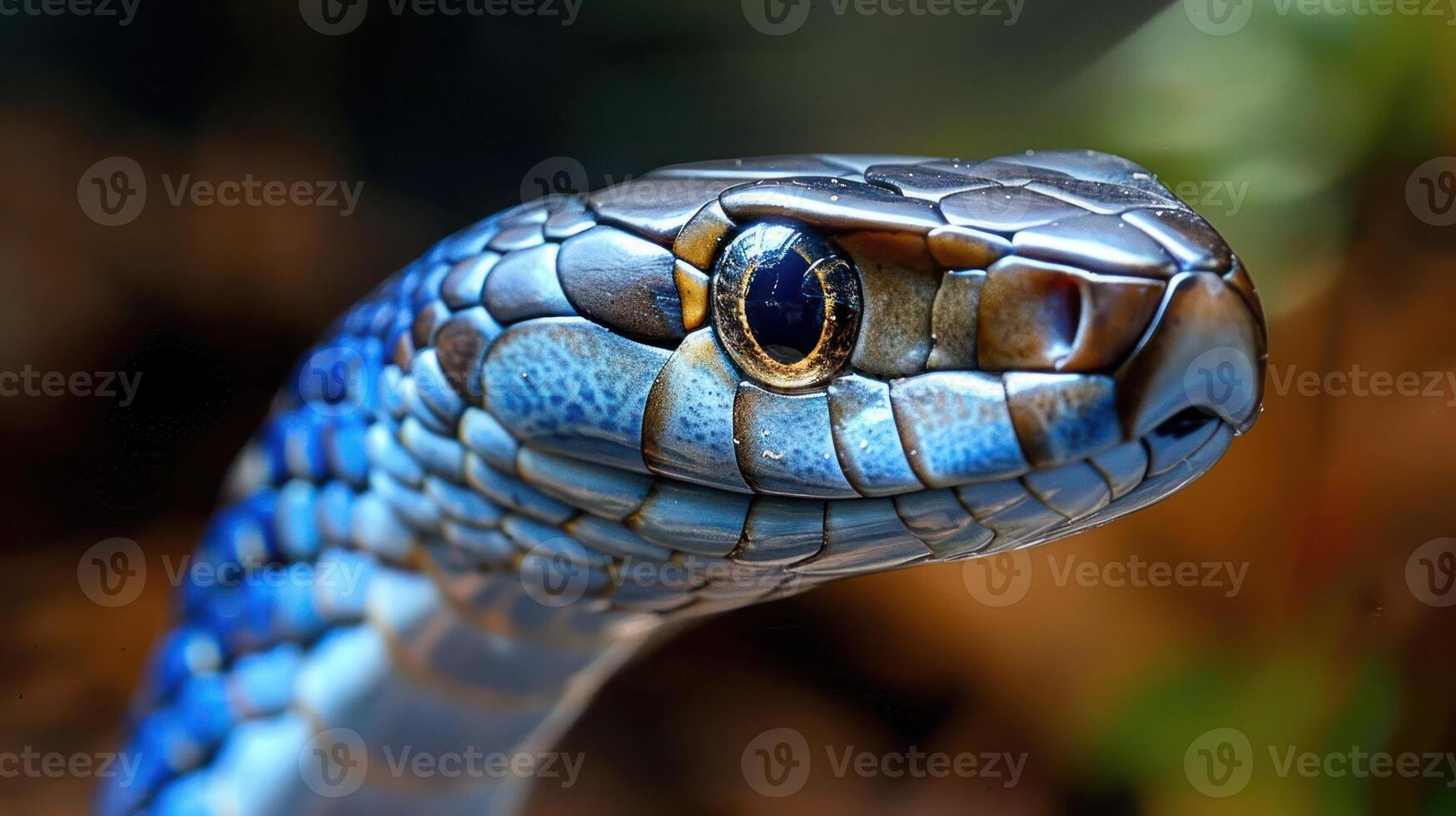 Close-up of a vibrant blue snake's head, showcasing its intricate scales and eye, set against a blurred natural background photo