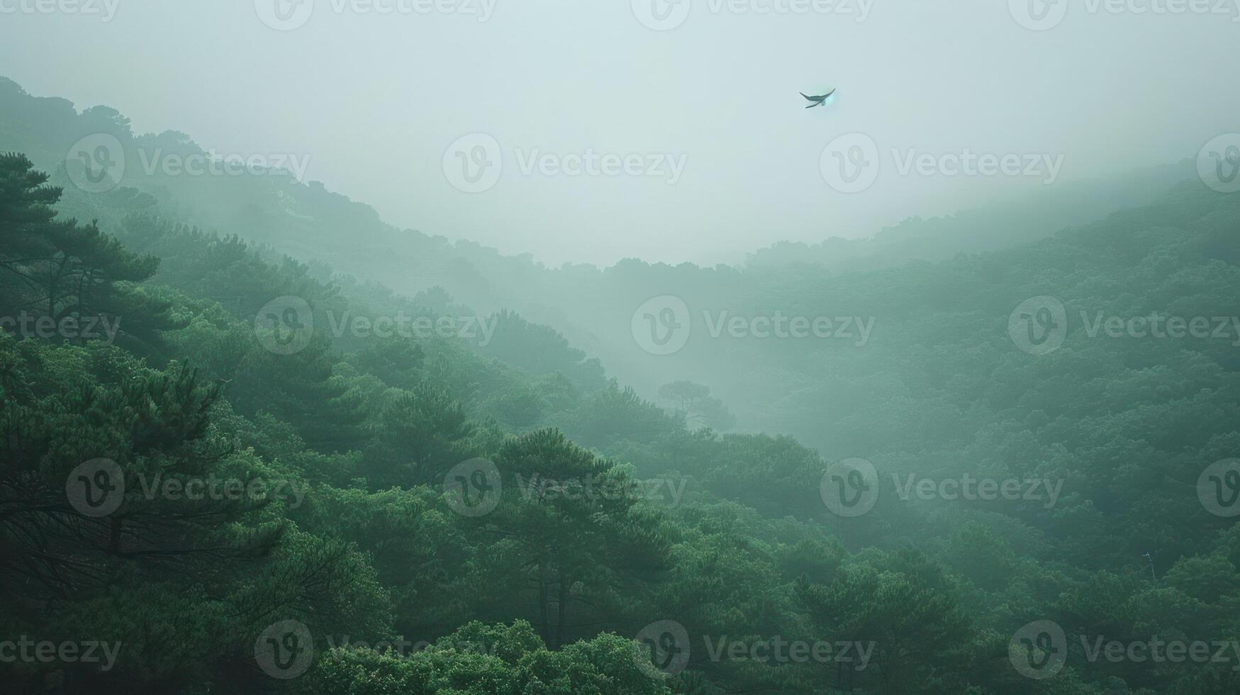Serene misty landscape with lush green hills and a distant bird soaring in the foggy sky photo