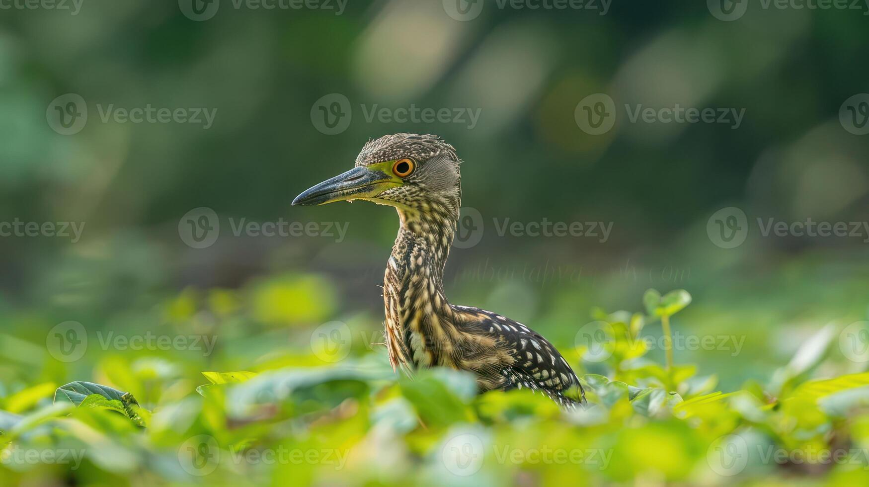 Young bird camouflaged in lush green foliage, observing its surroundings in a serene environment photo
