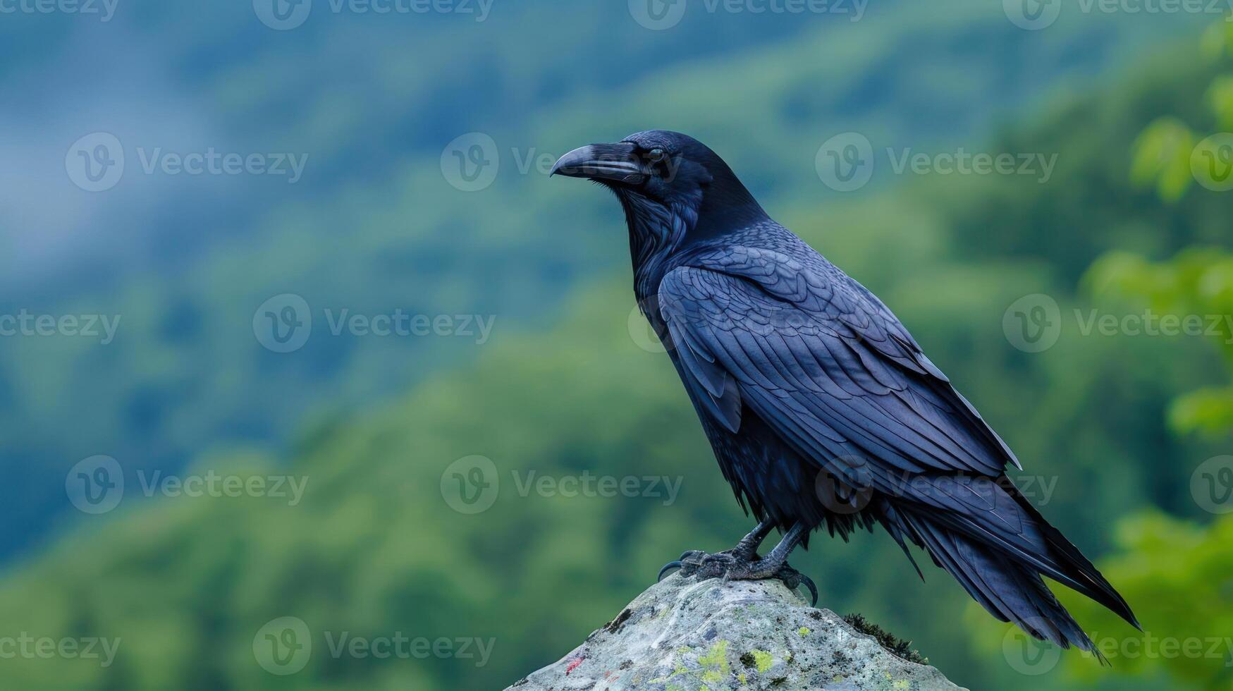 Majestic raven perched on a rock, overlooking a lush green landscape under a cloudy sky photo