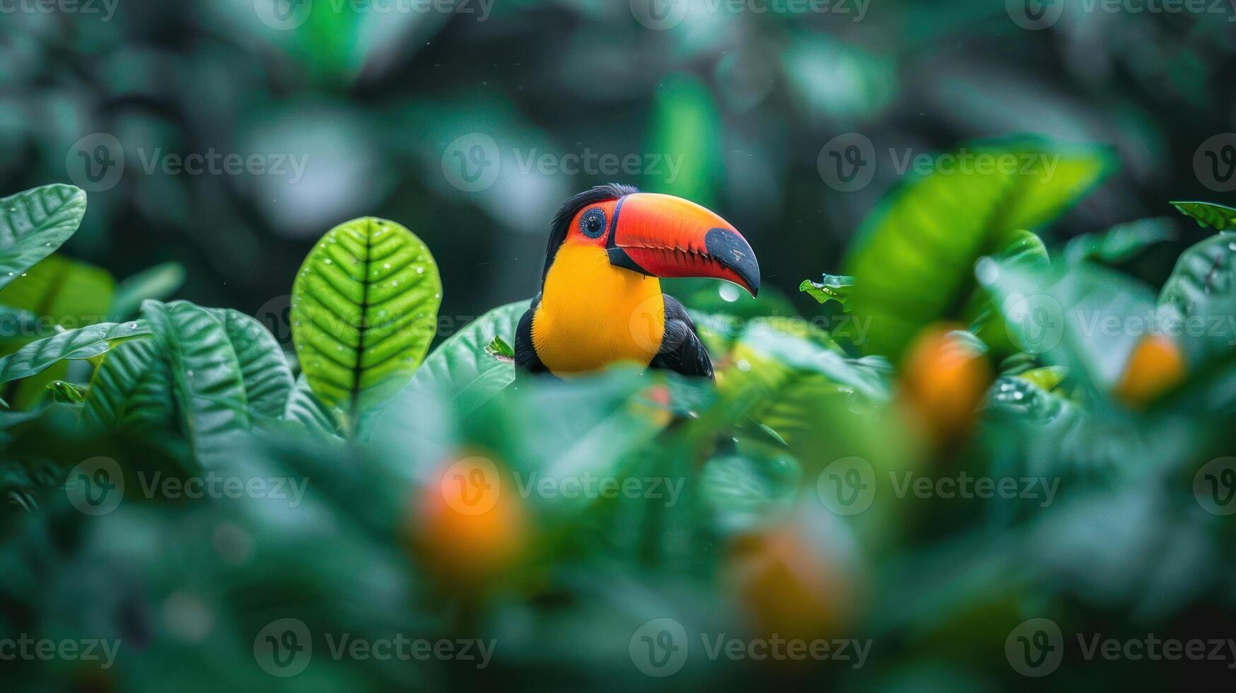 Vibrant toucan perched amidst lush tropical foliage with blurred background of green leaves photo
