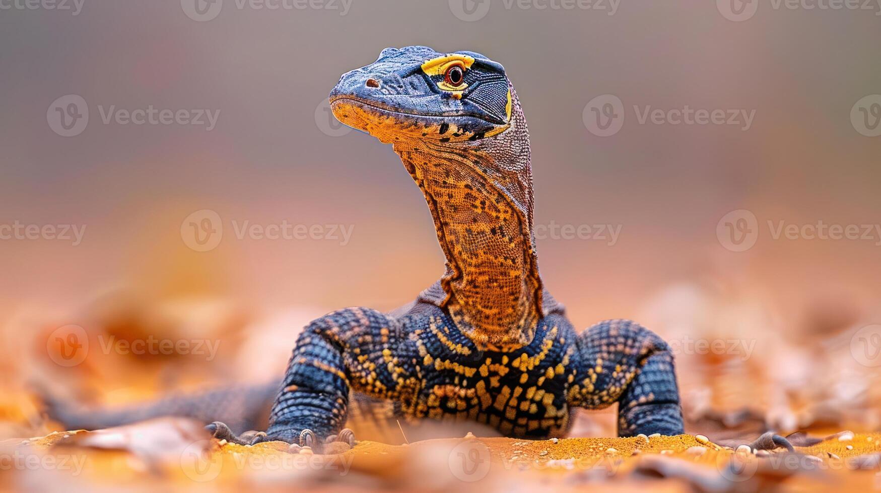 Colorful lizard basking on autumn leaves in a warm, blurred natural setting photo