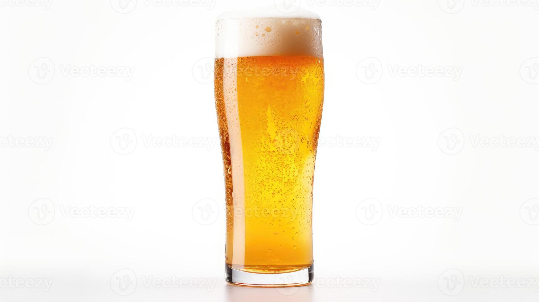 cold beer isolated photo