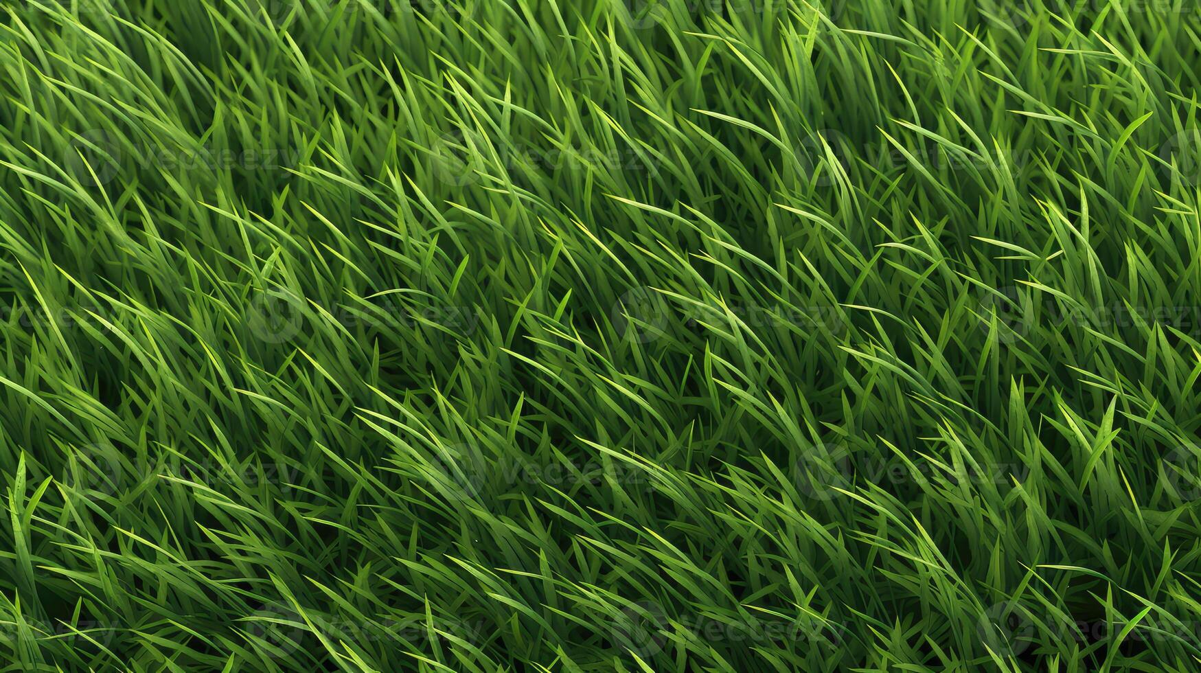 nature grass seamless texture photo