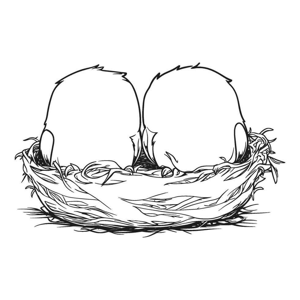 Bird Eggs Nestled in a Simple Nest Illustration vector