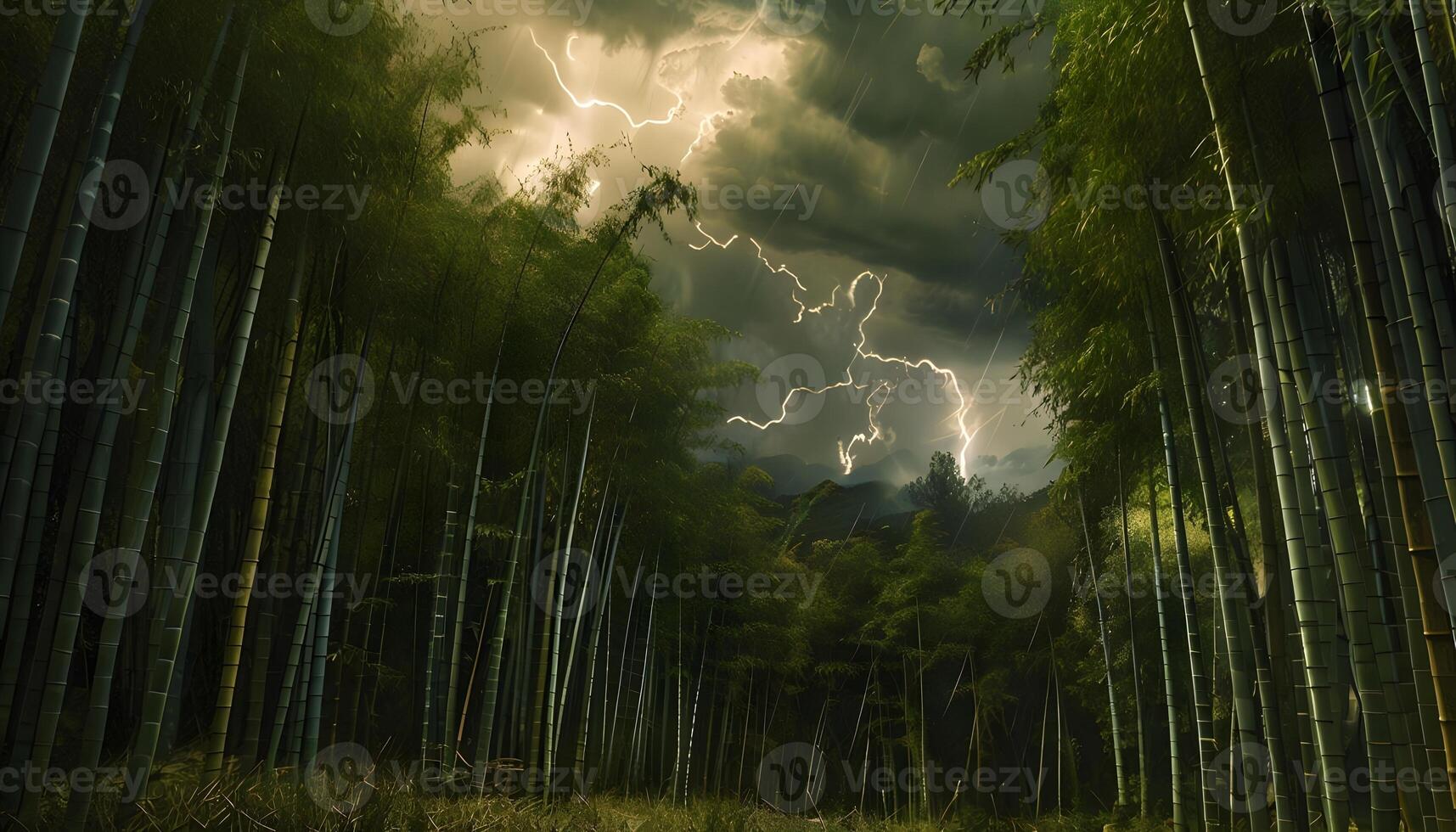A bamboo forest with lightning and trees photo
