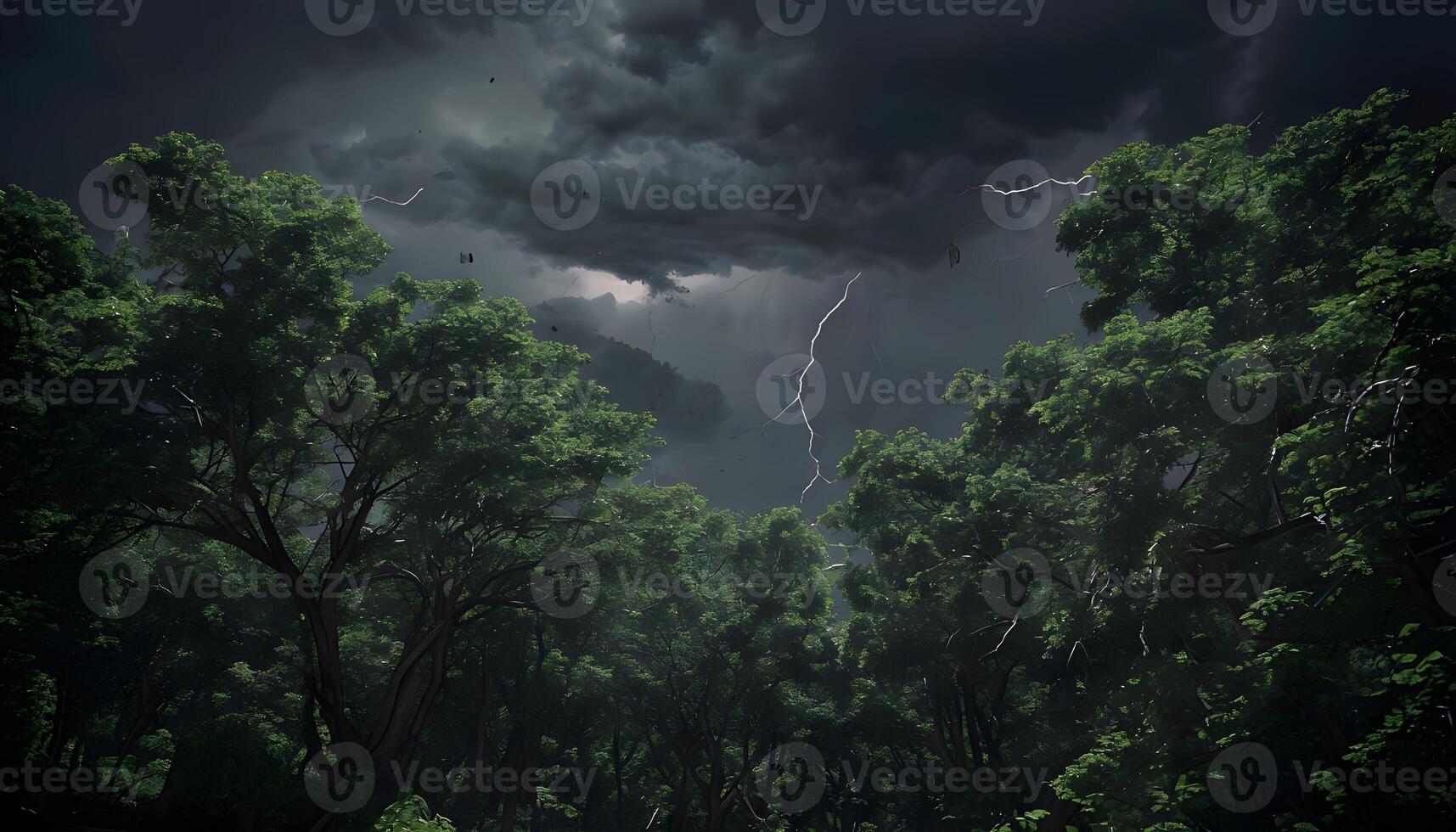 A dark forest with trees and lightning photo