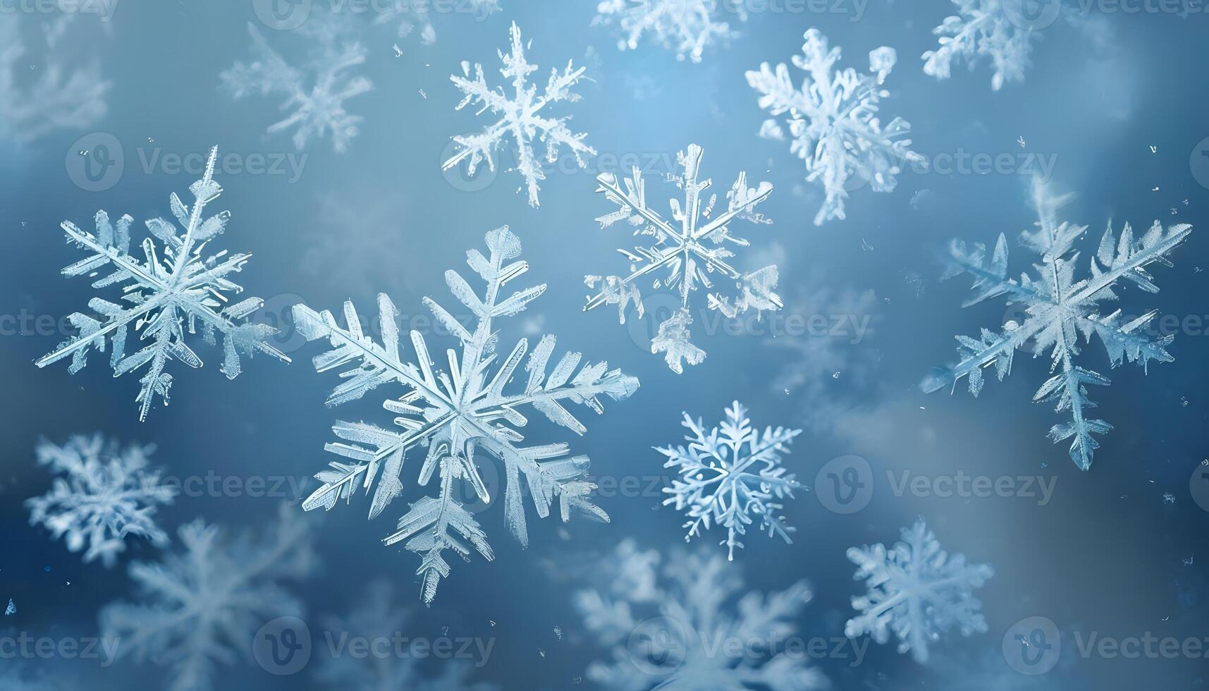 Snowflakes are shown in blue and white photo