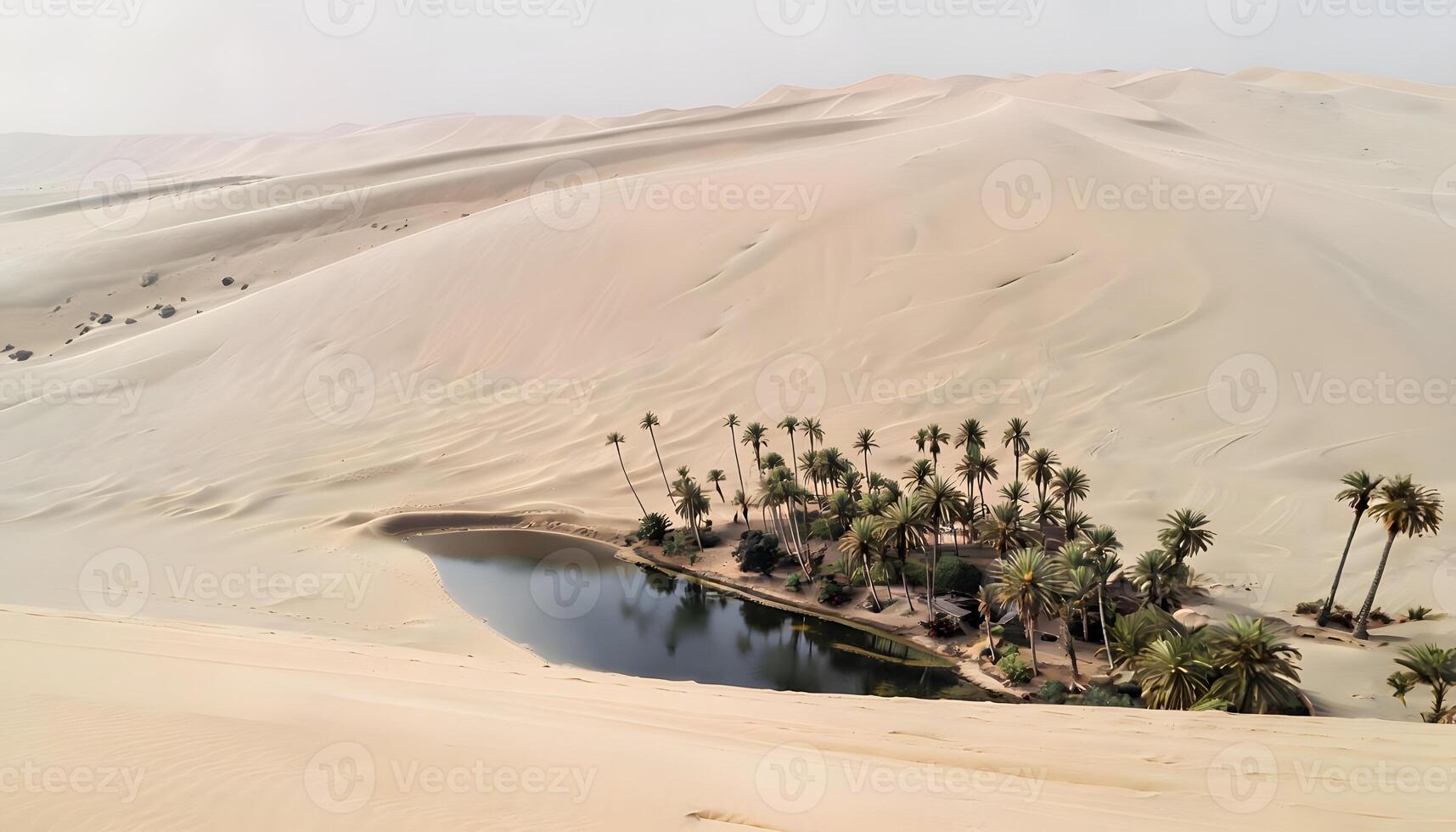 A small pond surrounded by palm trees in the desert photo