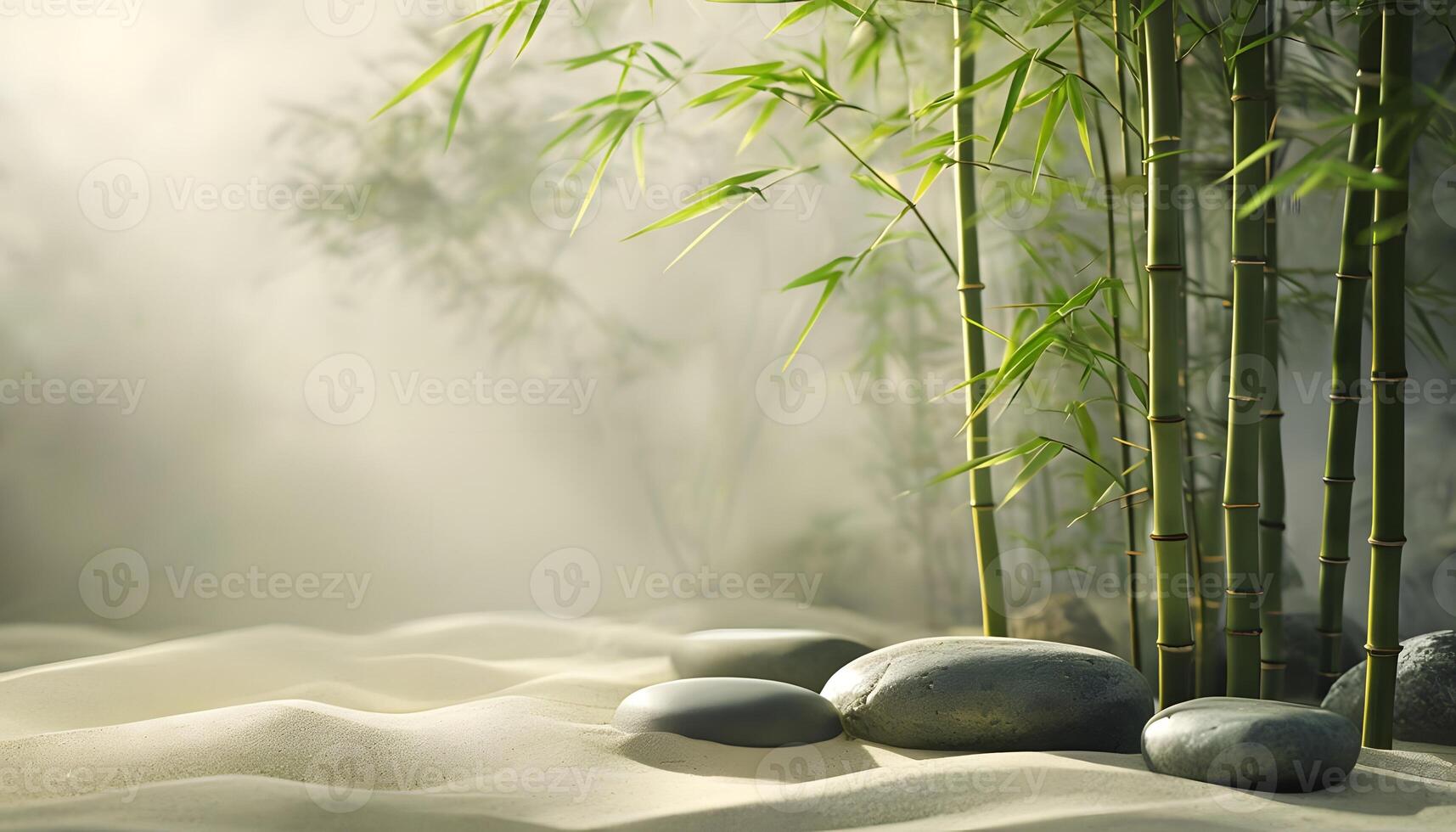 A bamboo forest with stones and bamboo trees photo