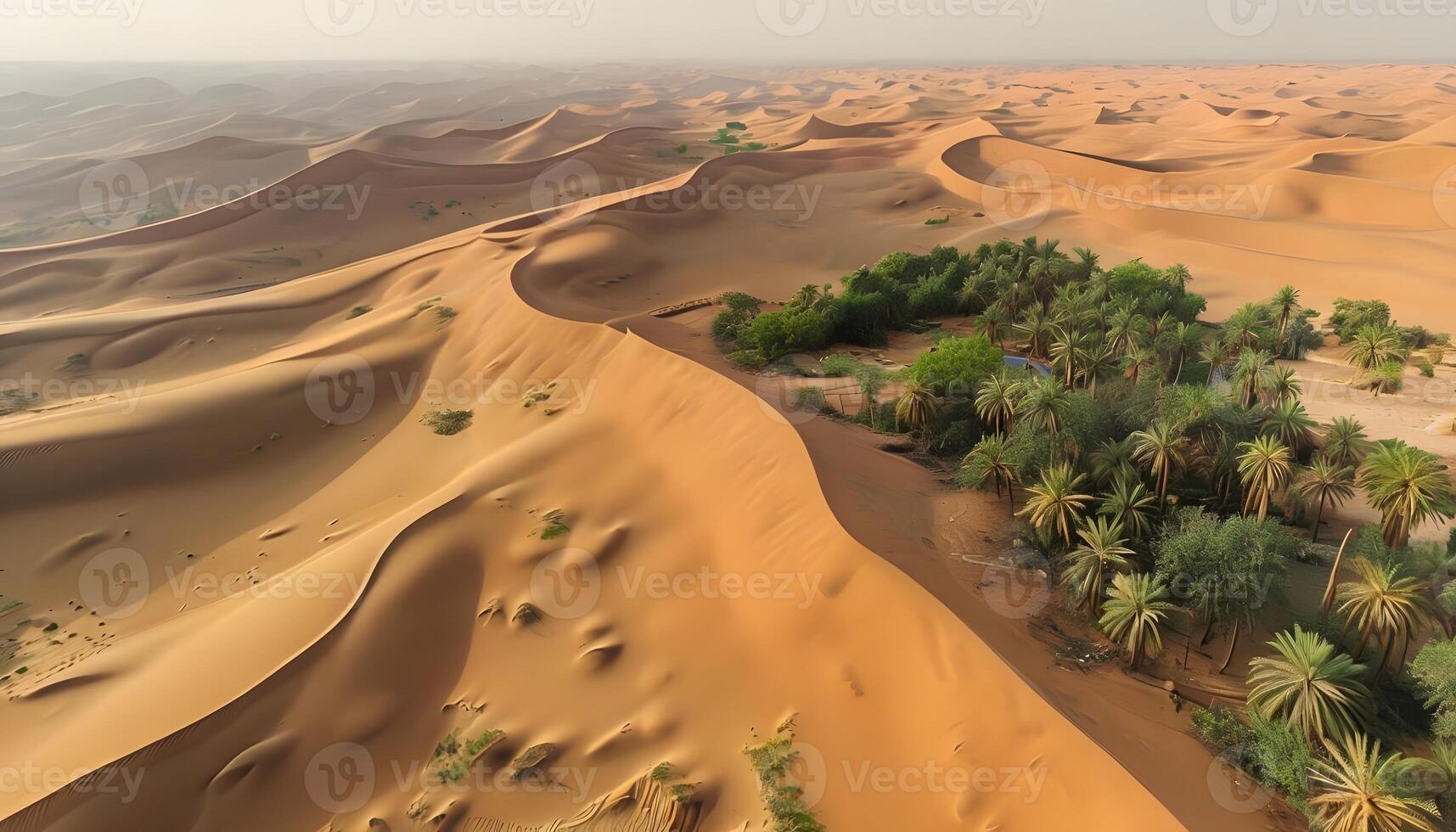 An aerial view of the desert with palm trees photo