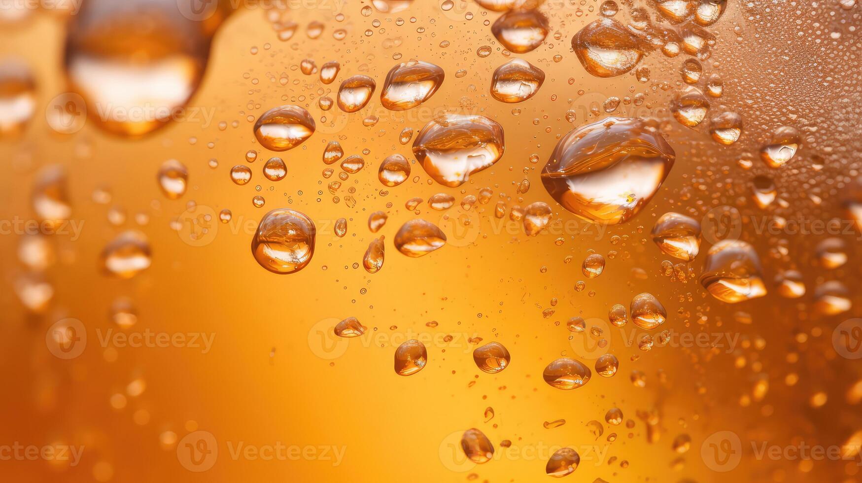 effervescent transparent beer photo