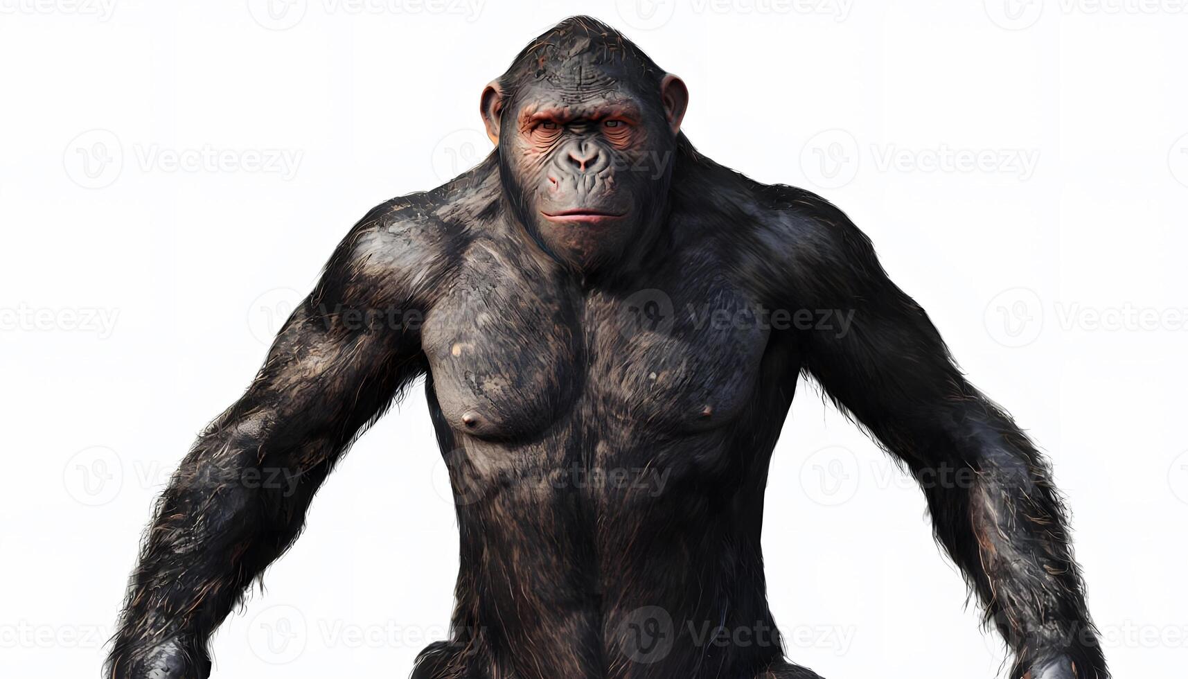 A chimpanzee standing on one leg photo