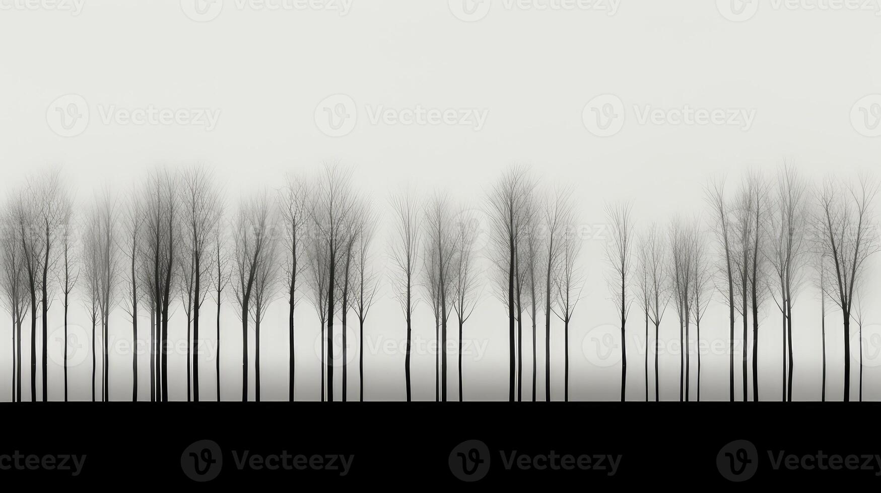 openness minimal trees photo