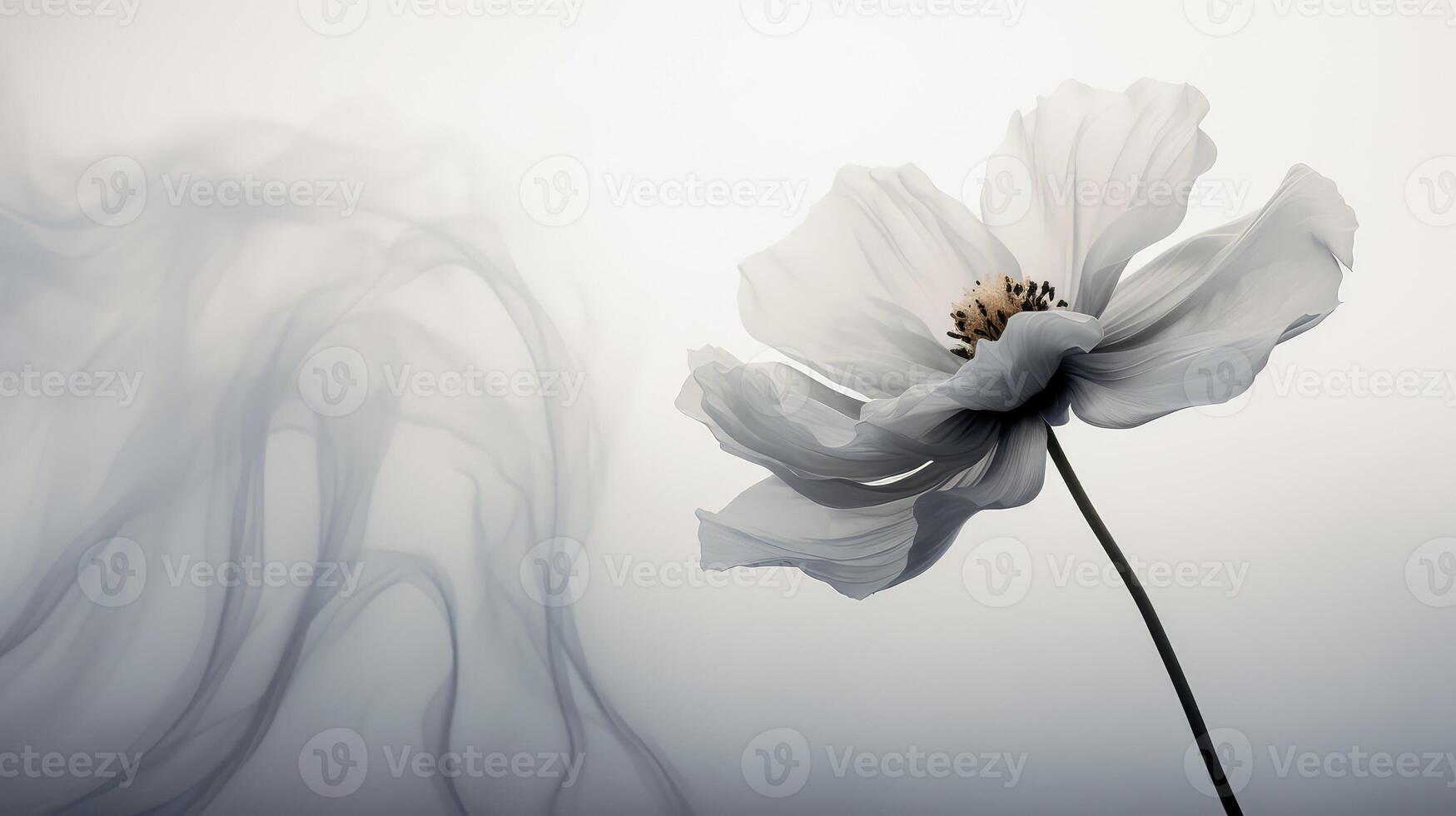 dreamlike grey smokey background photo