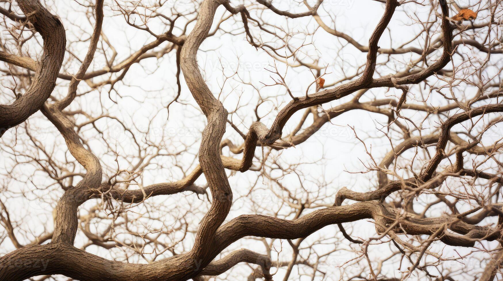 network tree close up photo