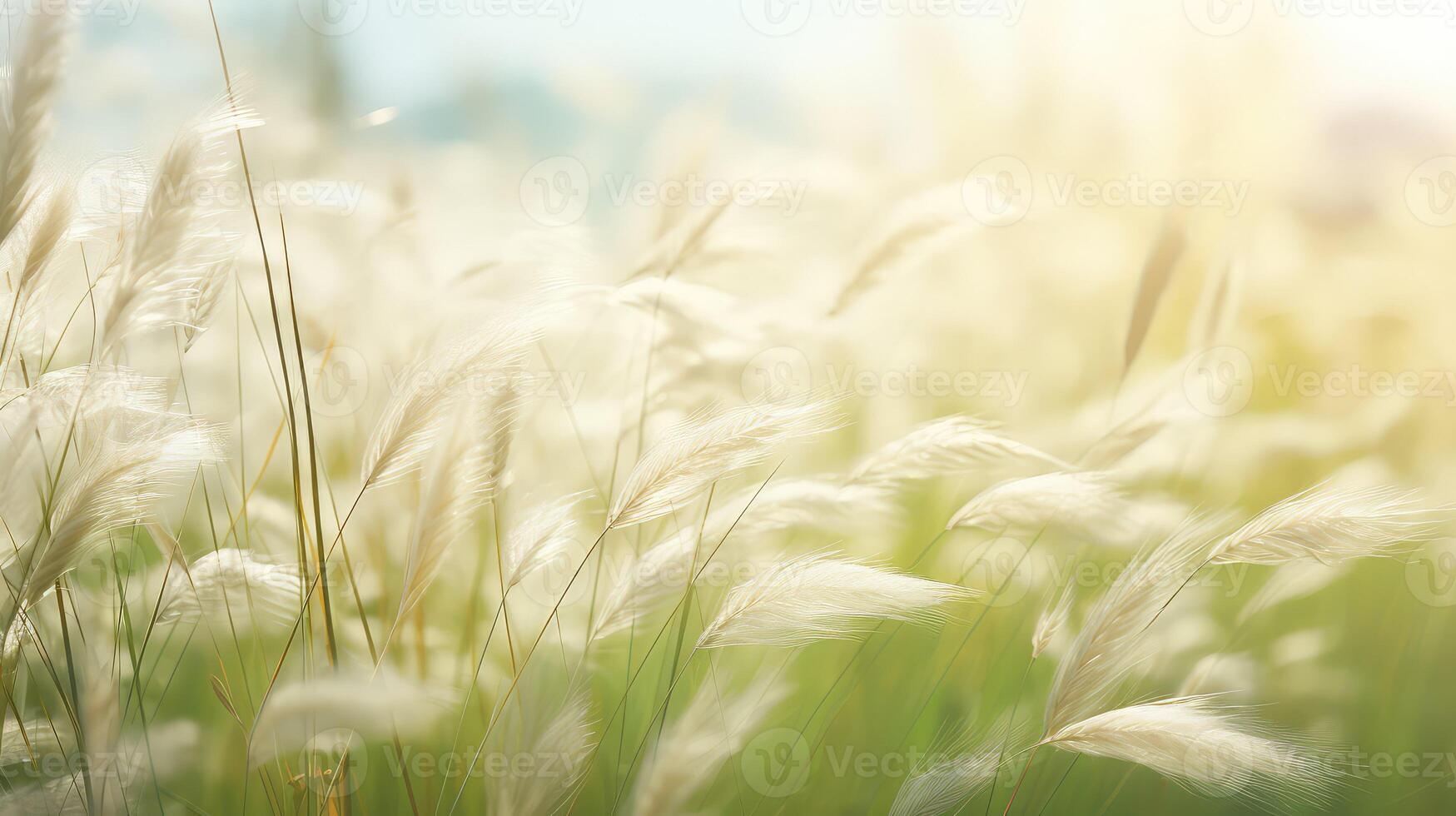 soft subtle noise texture photo