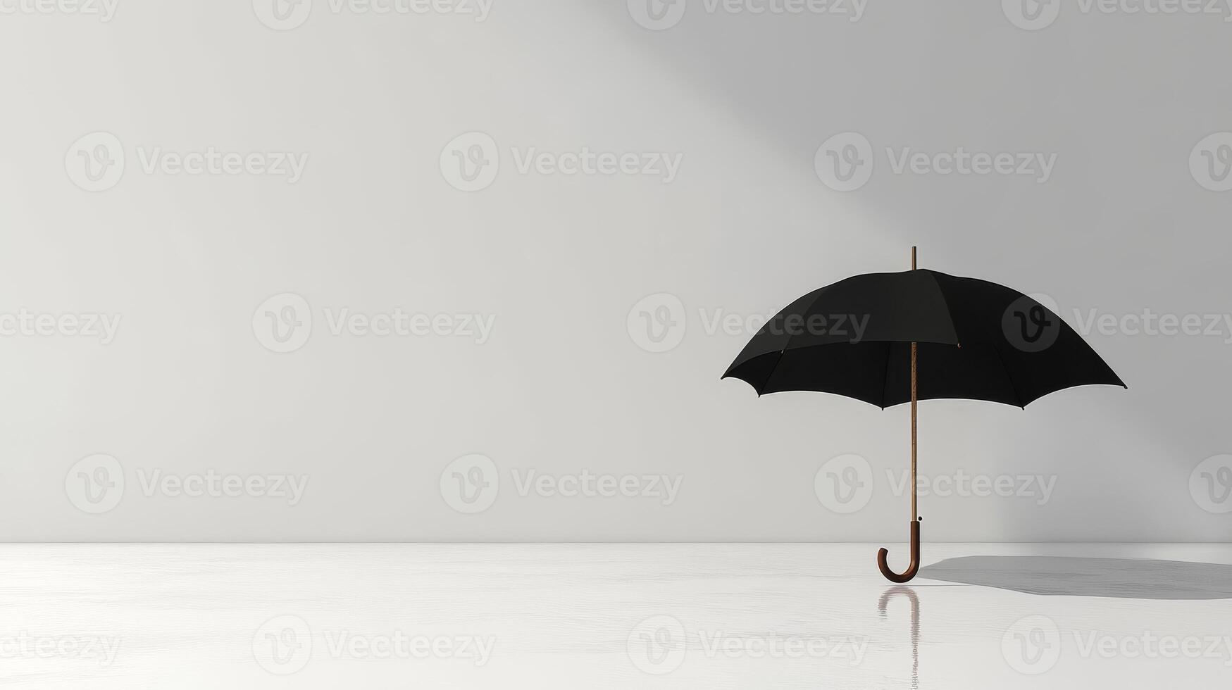 Elegant black umbrella on white photo