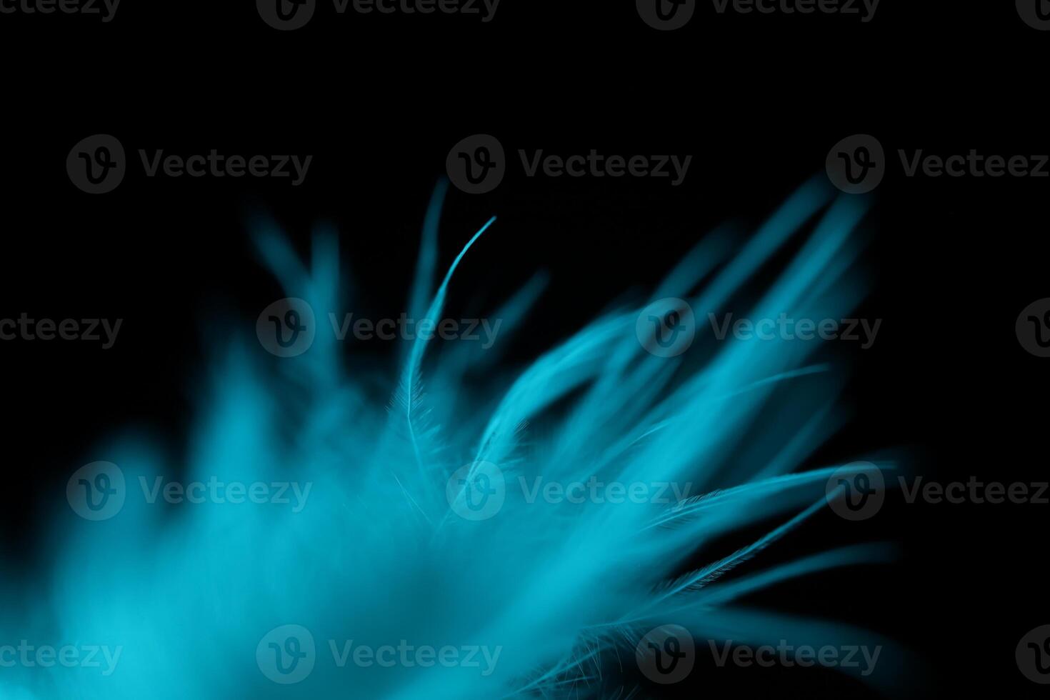 White natural texture abstract on black background, bird feather, soft natural texture on dark background photo