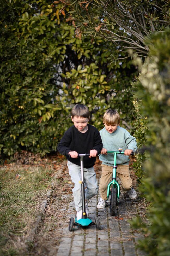 Leaves rustle softly as two little boys race side by side, their energy and laughter echoing through the garden. photo