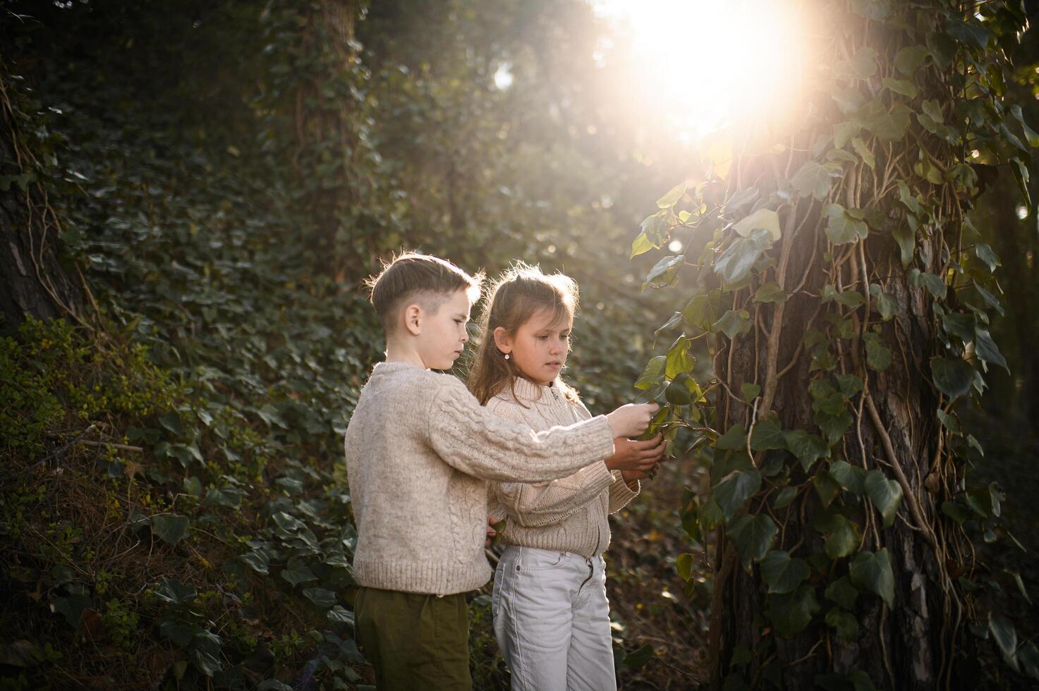 Sunlight filters through the trees as the children gently touch the climbing plants, lost in curiosity and discovery photo