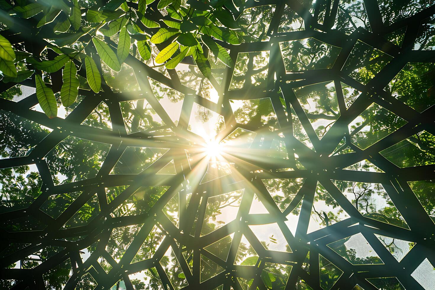 The sun is shining through the trees photo