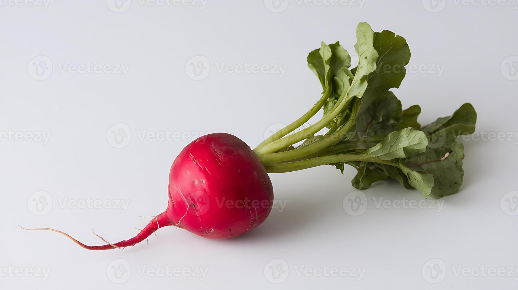 A red radish on a white background photo